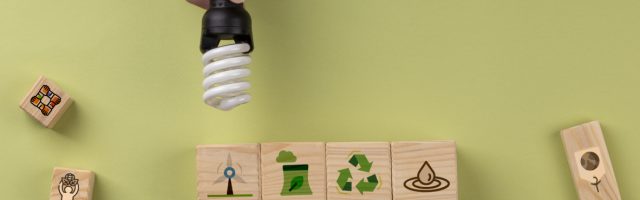 Emprendimiento sostenible